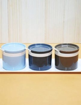 3 Pcs Ceramic Spice Jar with Tray & Spoon CK0563